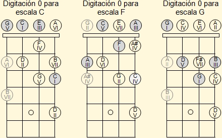 Acordes En El Ukelele Implementacion De La Armonia #ukulele #comotocarukulele #ukuleleparainiciantes #ukulelemusicas #ukuleledesenho. imusicmate